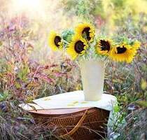 Rarität! Charmante 2-Zi.-EG-Terrassen-Whg. in historischem Gebäude - im Herzen von Haag in Obb.