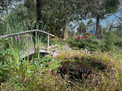 Gartenteich - 