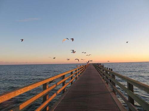 Seebrücke am Morgen - 