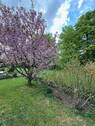Gartenanteil - 