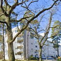 Bild 19 - 