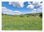 146-2025 Wiese und Gemeinschaftsgarten.jpg - 