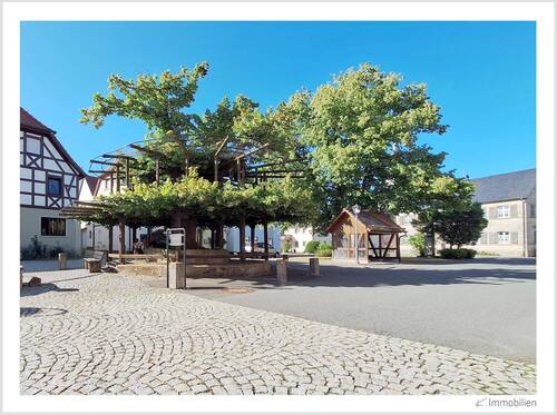 146-2025 Tanzlinde im Dorfkern.jpg - 