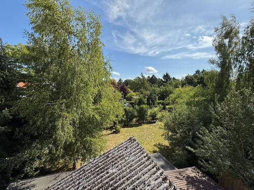 Ausblick - 