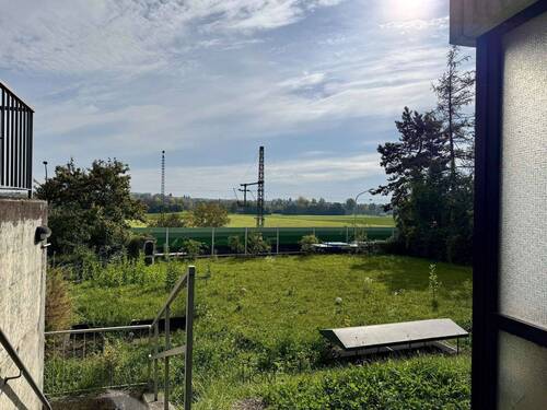 Gemeinschaftsgarten - 