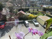 Bild 9 - 