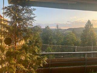 Ausblick - 