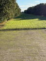 Bild 11 - 