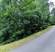 Grundstück für EFH oder Ferienhausvermietung in Langenhennersdorf - Bad Gottleuba