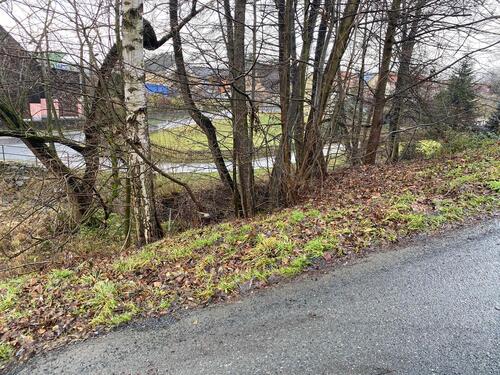 Ansicht Grundstück - Grundstück in Bad Gottleuba zum Kaufen