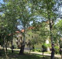 Schöne Wohnung mit Balkon in saniertem Wohnhaus in grüner Ruhiglage - Erdgeschoss - Seegebiet Mansfelder Land Röblingen am See