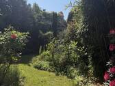 idyllischer Garten - 