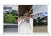 Bild 21 - 