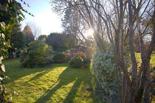 Gartenimpressionen - 