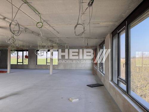 Tageslicht durch viele Fenster - 
