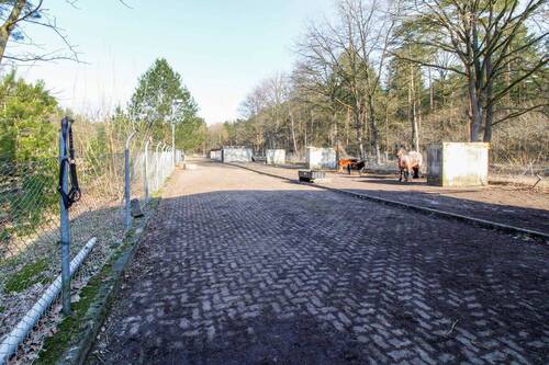 Teilgepflastert - 