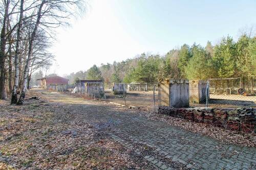 Viele Nutzungsoptionen - 