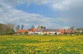 Anblick von der Wiese aus - 