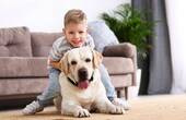 Bild 12 - 