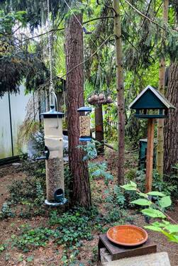 Vogelparadies - Grundstück in Storkow (Mark)