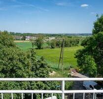 Wunderschöne Dachgeschosswohnung mit Panoramablick - Flörsheim-Wicker