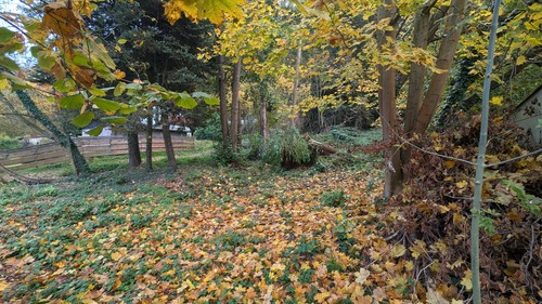 Ansicht Grundstücke - Grundstück in Pirna zum Kaufen