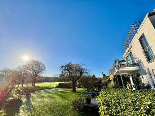 Gemeinschaftsgarten - 