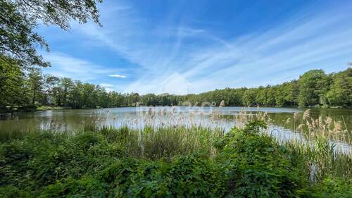 Boddensee - 