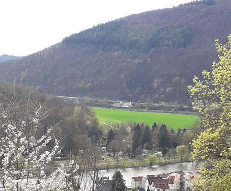 Bild 3 - 1 Zimmer Einfamilienhaus in Neckarsteinach