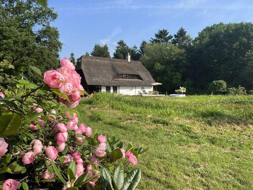 Bild 2 - 5 Zimmer Einfamilienhaus zum Kaufen in Gnarrenburg