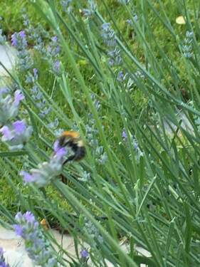 Natur pur im eigenen Garten! - Grundstück zum Kaufen in Olching