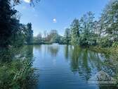 Hauseigener Weiher - 3 Zimmer Etagenwohnung zum Kaufen in Offenbach / Tempelsee