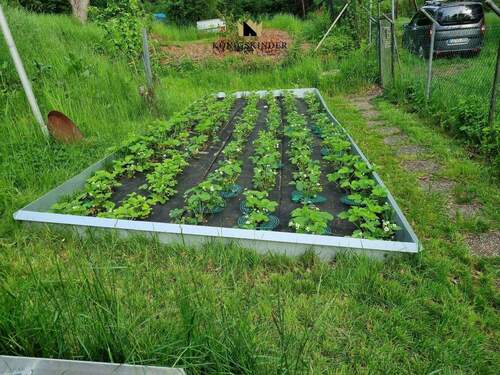 ...auf Ihren Gemüsegarten - 