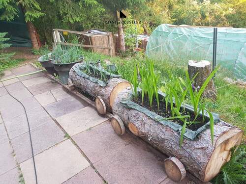 ziehen Sie Ihre eeigenen Pflanzen - 