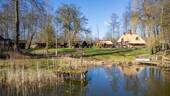 Bild 1 - Reetdach - Anwesen in Alleinlage, 7315 qm Parkgrundstück Reetdachhaus Landhaus Fachwerk Landsitz
