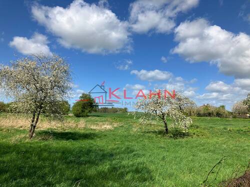 Blick von Süden - Grundstück zum Kaufen in Zepelin / Oettelin