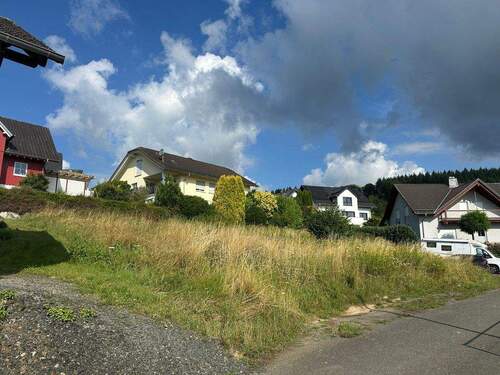 Titelbild - Großzügiges Baugrundstück in Bischoffen