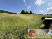 Ansicht auf das Feld hinterm Haus - 