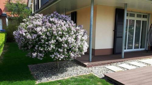 Veranda am Wohnzimmer - 