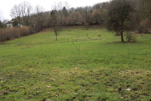 Bild 5 - 
