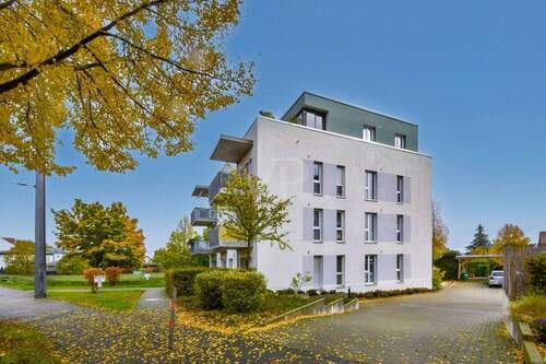 Außenansicht mit Zufahrt - 