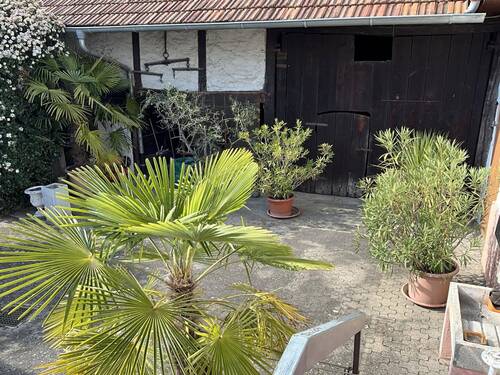 Garten Terrasse - 