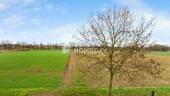 Ausblick - 