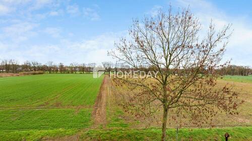 Ausblick - 