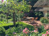 Terrasse - 