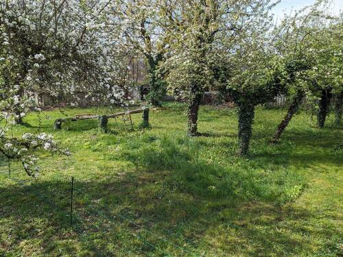 Bild 1 - FÜR BAUTRÄGER - Baugrundstück am Hochrhein Bodenseenähe, 1.026 m², 680.000 €