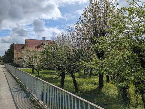 Bild 2 - Grundstück zum Kaufen in Gailingen