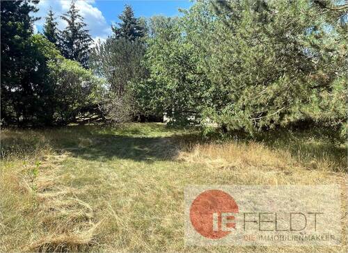 Blick zum Baufeld - Grundstück in Grünheide (Mark) / Kagel