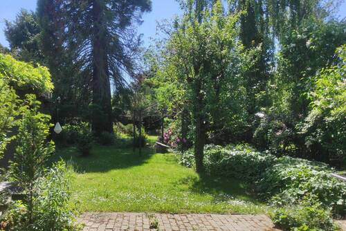 Sicht in den Garten - 