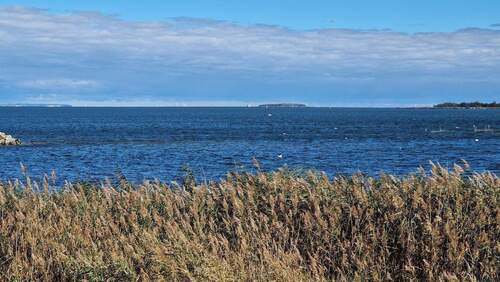 Rügen, Insel Oie, Usedom mit Peeneeinfahrt.jpg - 